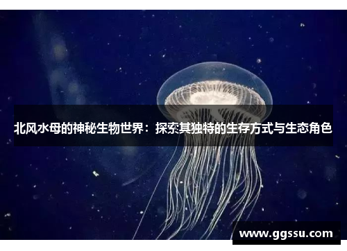 北风水母的神秘生物世界：探索其独特的生存方式与生态角色